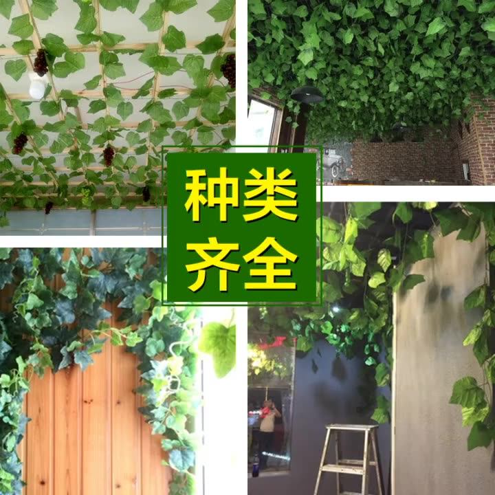 Artificial Tree Real Touch Plastic Rich Money Without Pot For Home