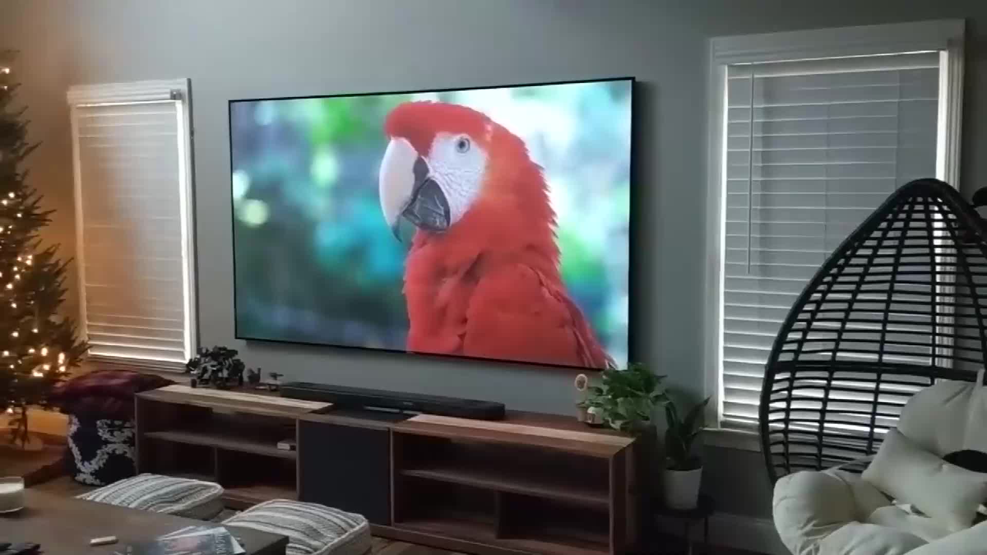 ambient light projector screen