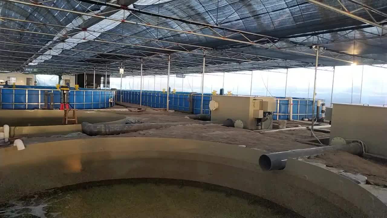 Ewater Industrial Fish Farm/ras Fish Farming Equipment/indoor Shrimp