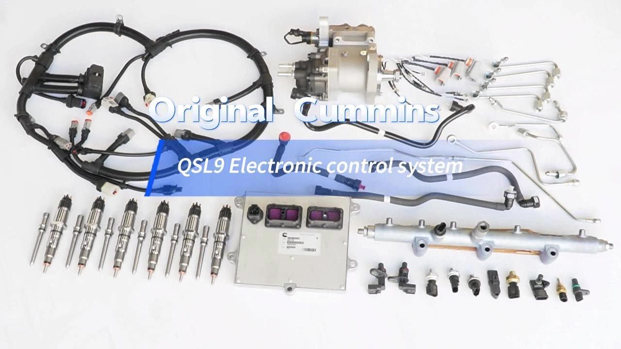 Genuine Cummins Engine Isl Qsl Isc Qsc Fuel Manifold 5254484 5446366 ...