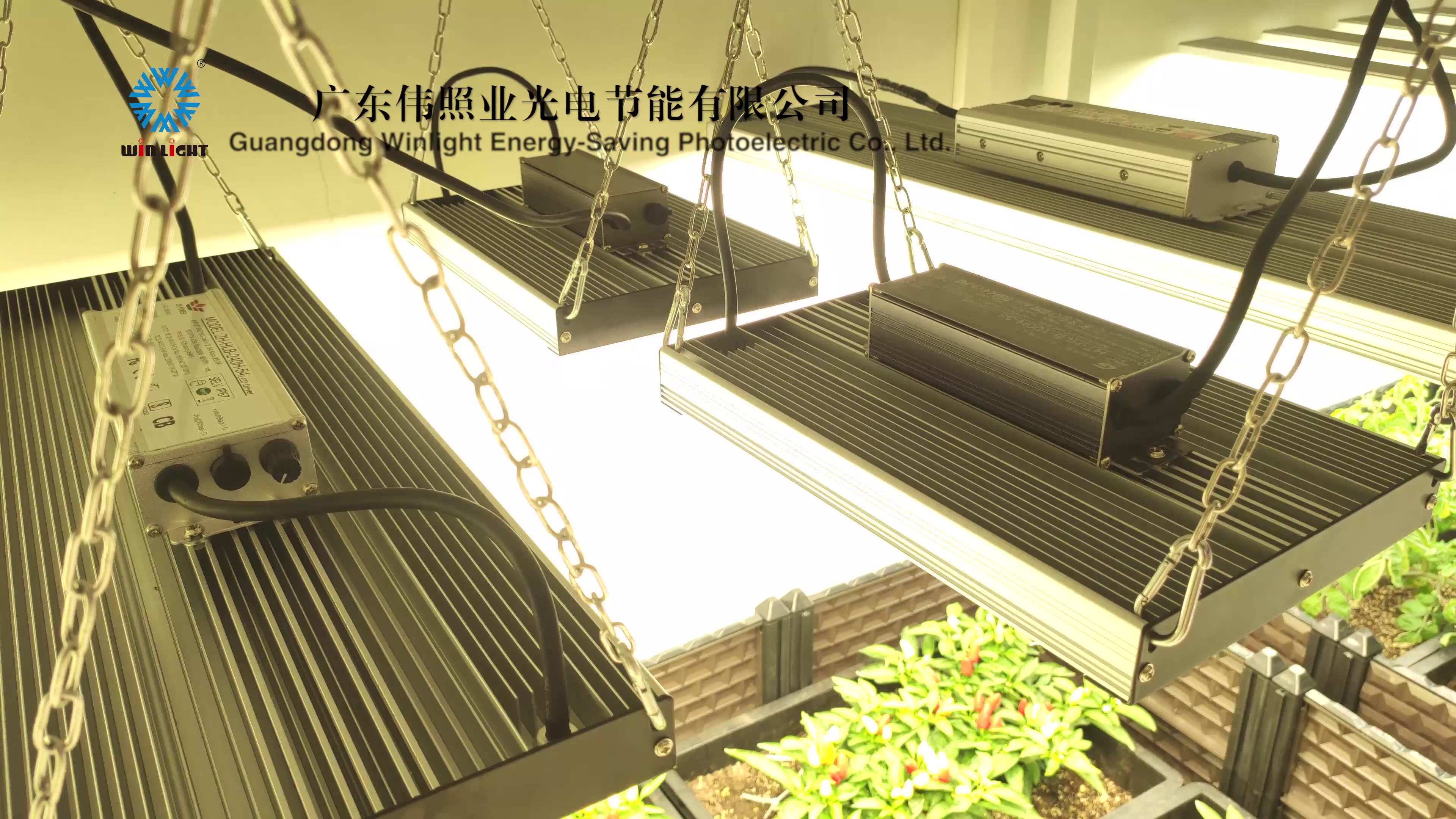 Best Selling Led Grow Light 3500k Lm301h Lm301b 100 Watt 200w 300w Etl