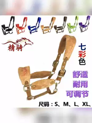 Bridle harness, horse training, thickened small horse belt, anti-wear faucet, fine riding supplies 2020 ten get one free