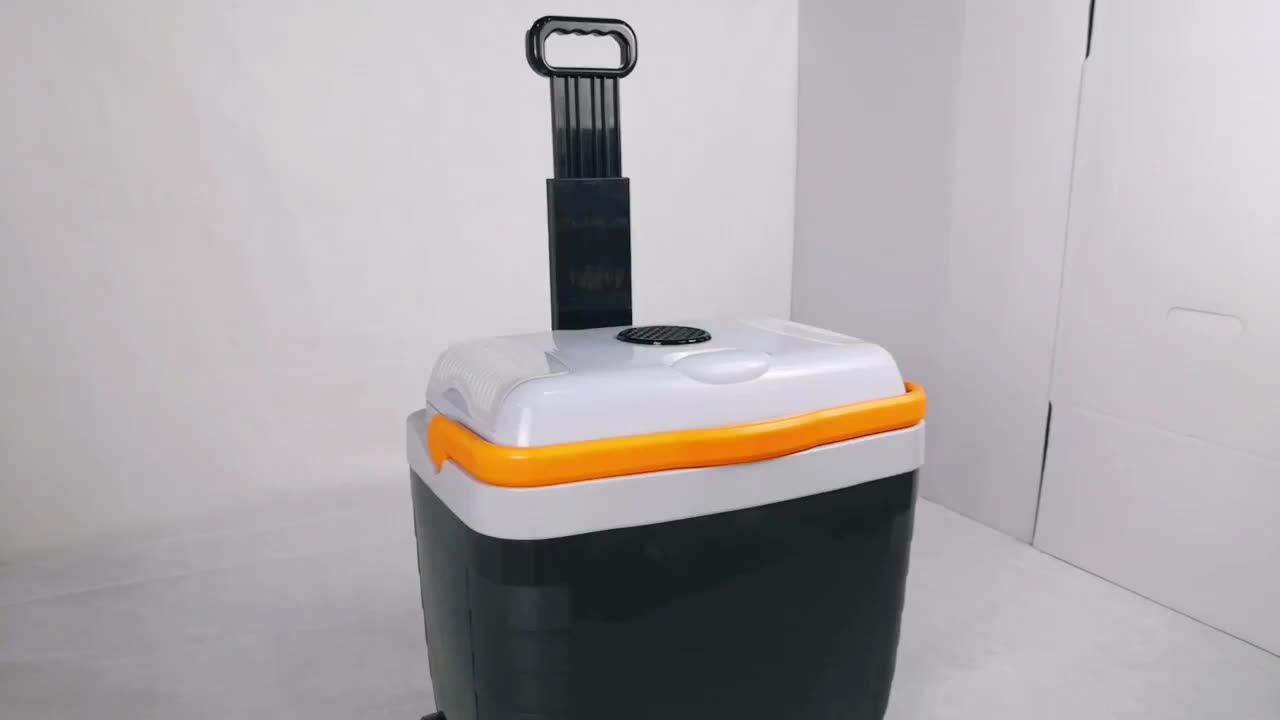 Car Mini Fridge 12v Thermoelectric Cooler Box With Trolley 28l Era With