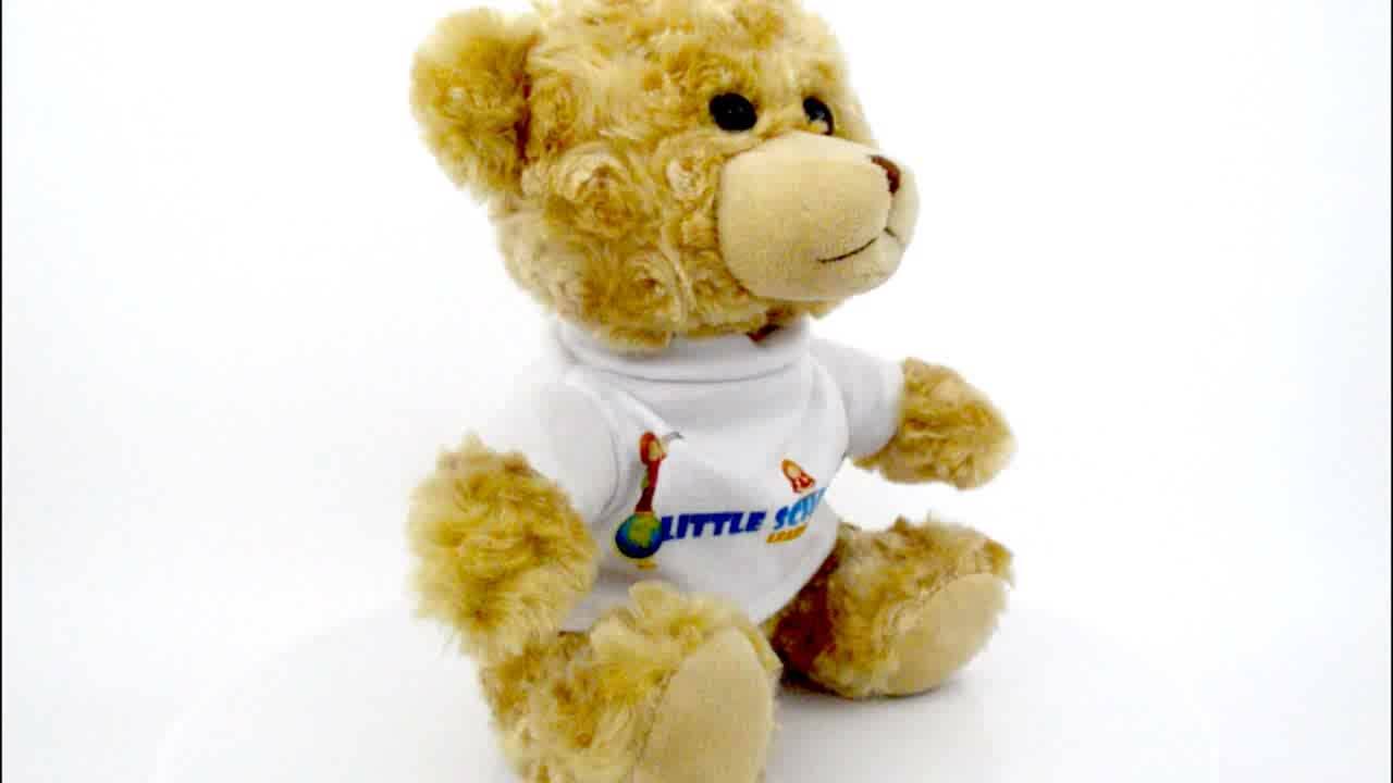 Hot Selling Custom Plush Teddy Bear Stuffed Bear Soft Toy With Logo