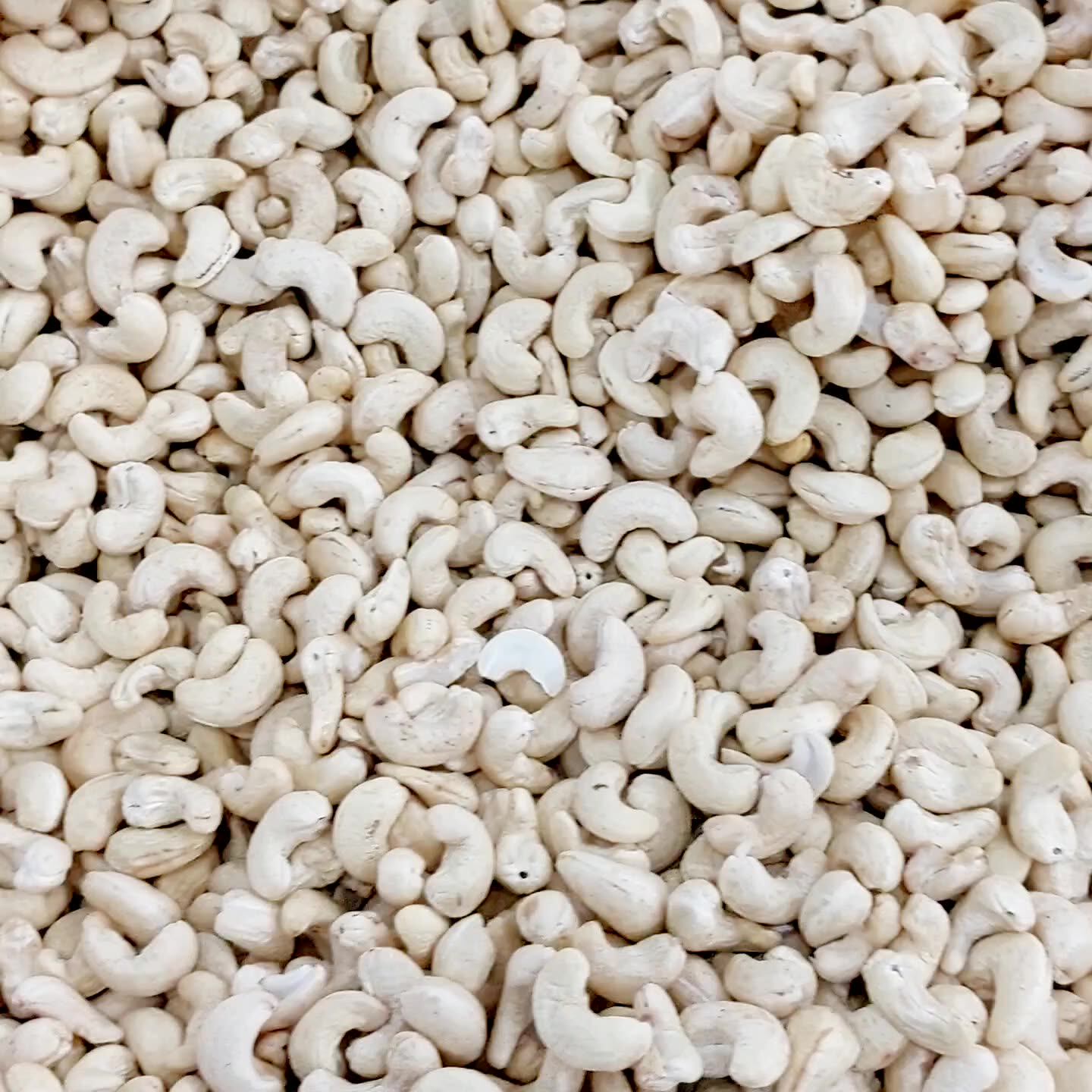 Wholesale Cashew Nuts From Vietnam High Quality Nut Supplier Noix De ...