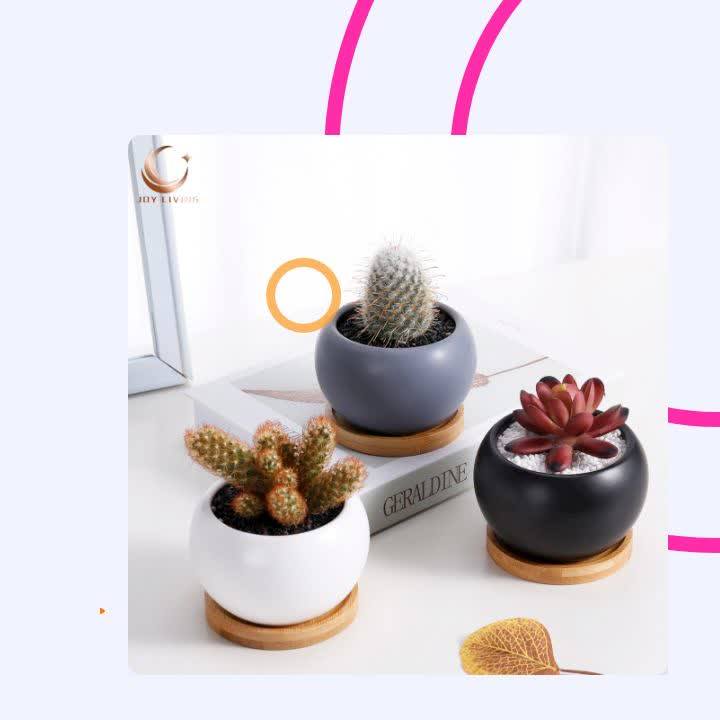 Wholesale Indoor Garden White Small Round Succulent Plant Pot Ceramic Pots For Plants Buy