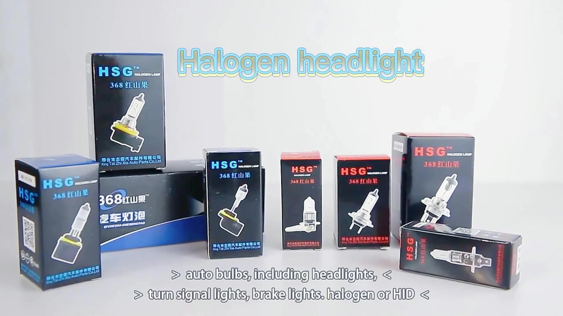 ZX Car Headlight Bulb High Power Car Headlight Bulb H4 H7 9005