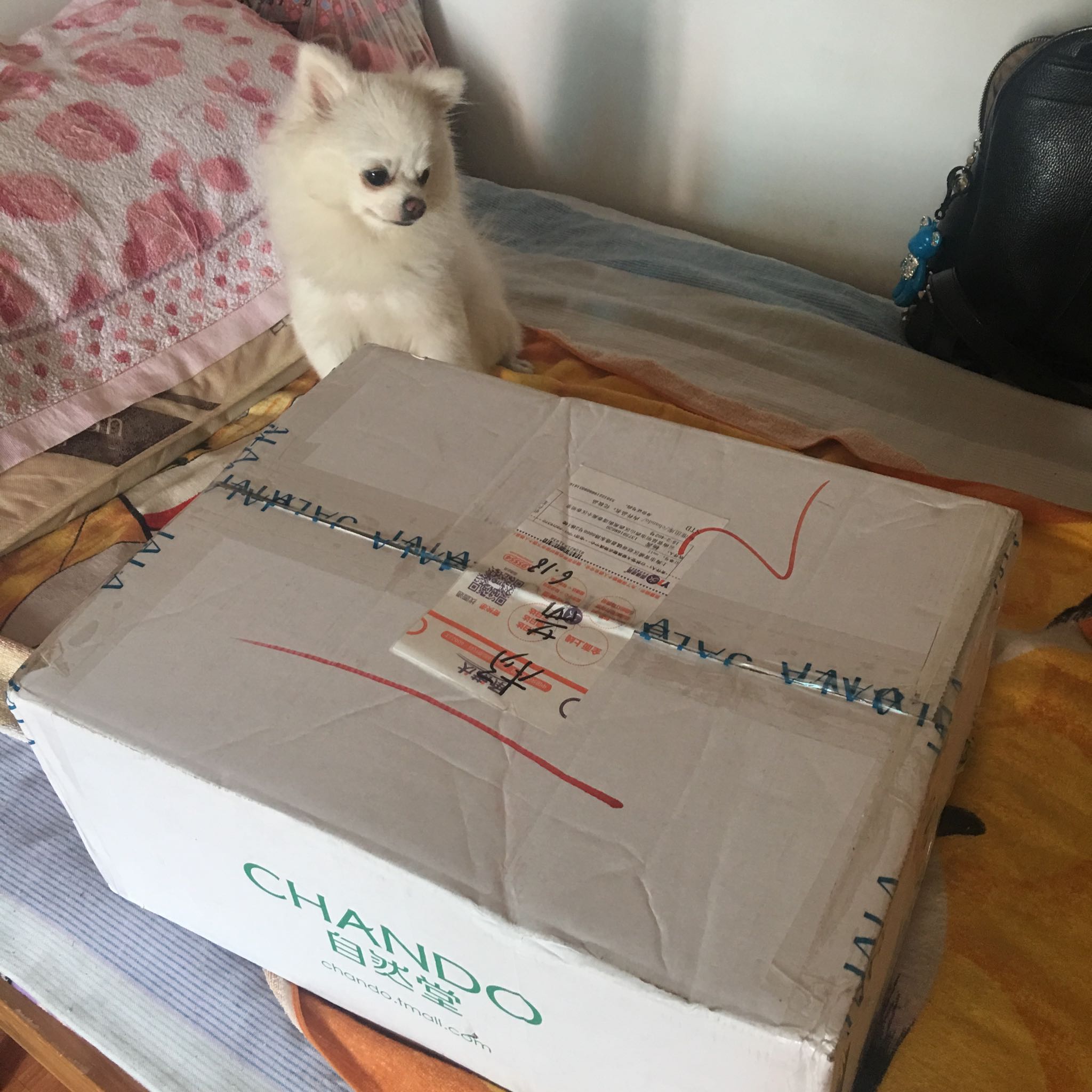 自然堂旗舰店—雪域补水保湿呵护套装水润度非常好,适合缺水肌！