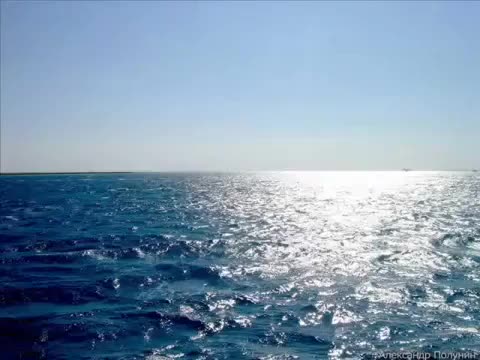 Как на сегодняшний день выглядит черное море Model Project No. 675 "echo",Scale 1: 400 Ship Submarine Model For Decorating An
