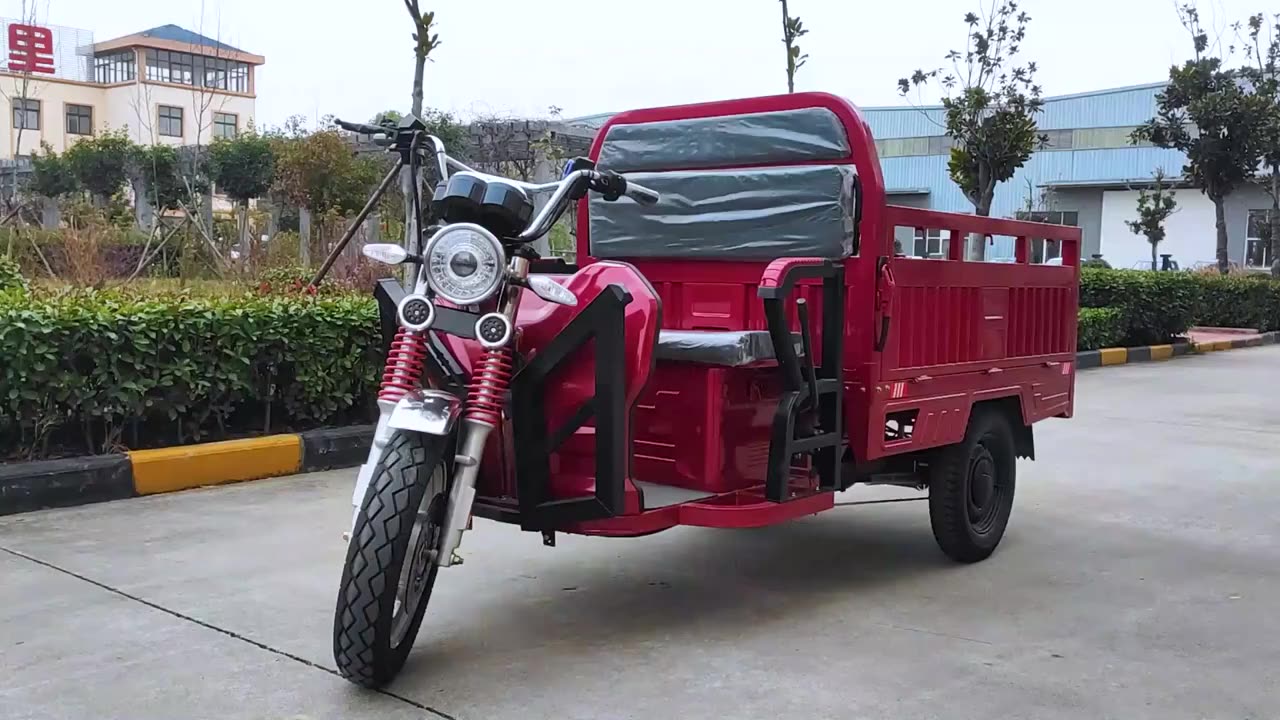 Электротрицикл Transporter 600w 48v