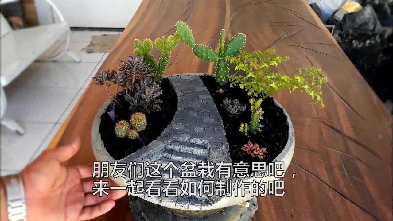 创意公园盆栽 绿植也要闲庭散步 花花大世界的我爱搜罗