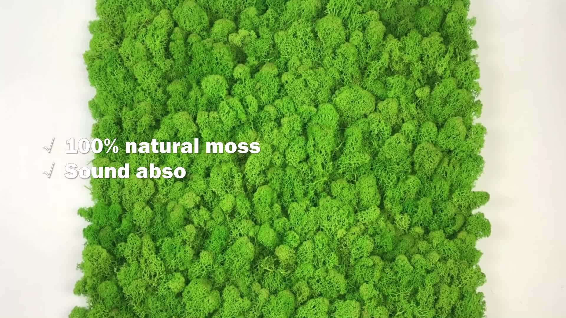 Custom Design Earth Friendly Synthetic Green Moss Wall For Landscape