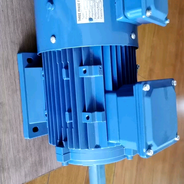 Variable Speed Ac Electric Induction Inverter Motor For Conveyor Belt