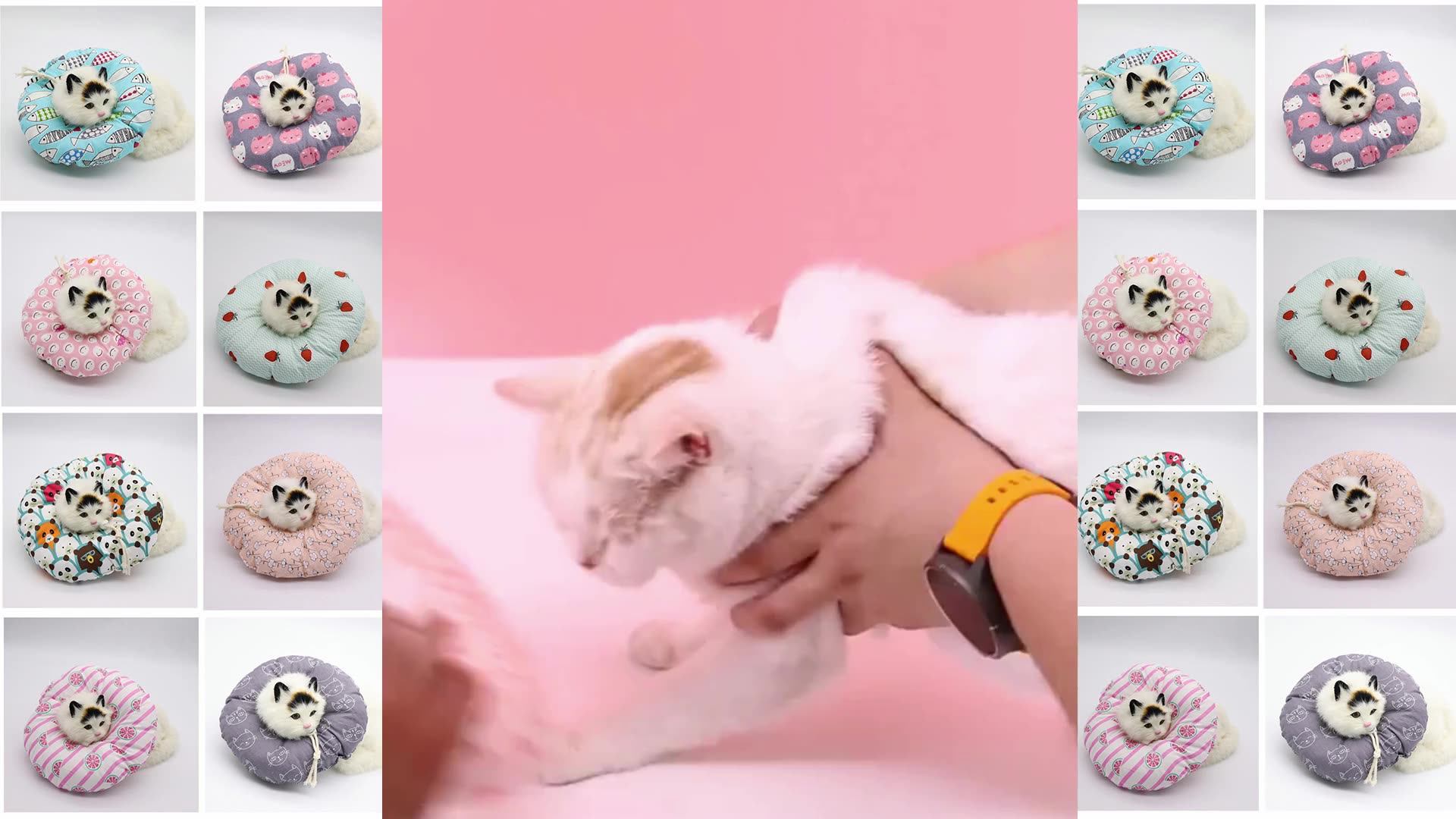 Pet Ecollar Elizabethan Collars Recovery Pet Cone For Cats And Small