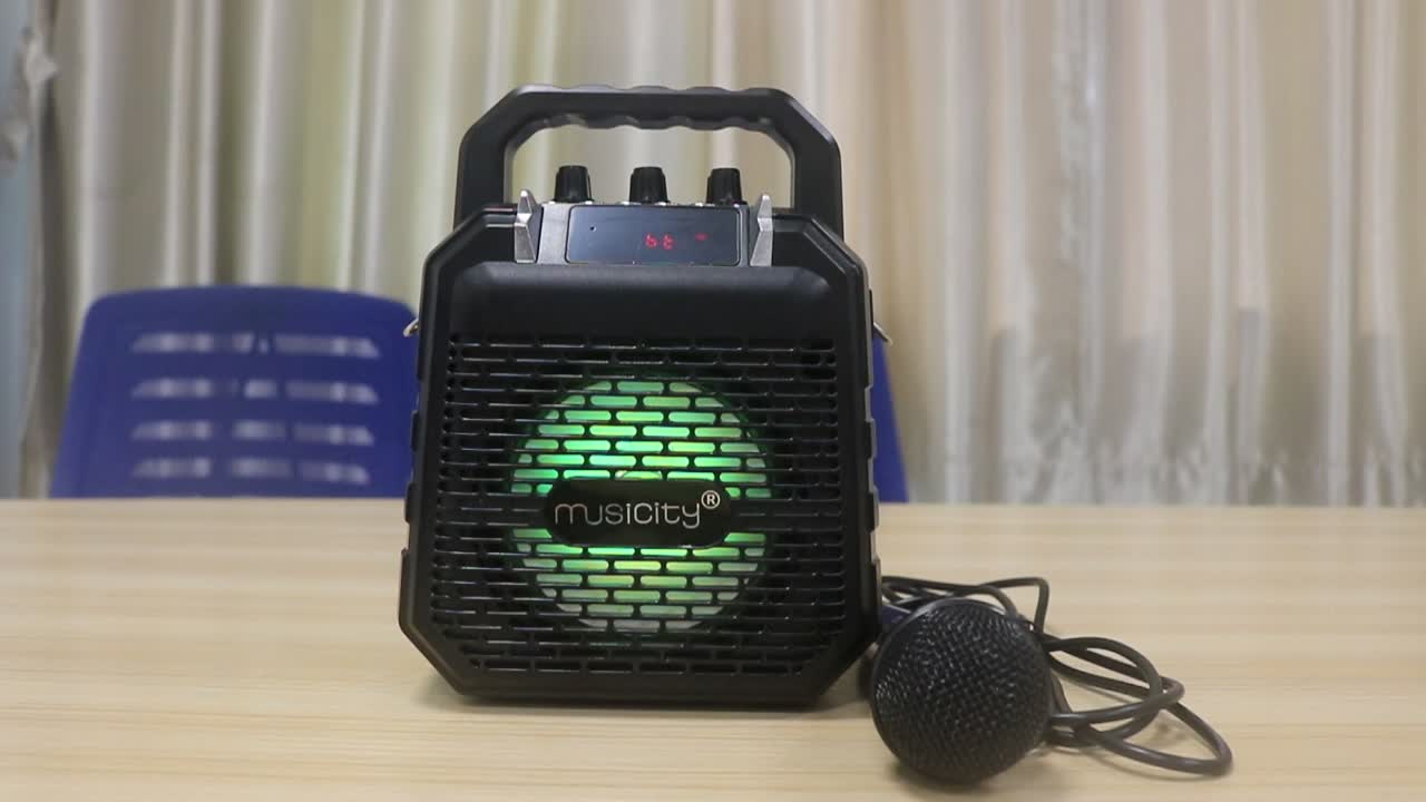 Wireless Mic Karaoke Sound Box Portable Handle And Wheels Built In With