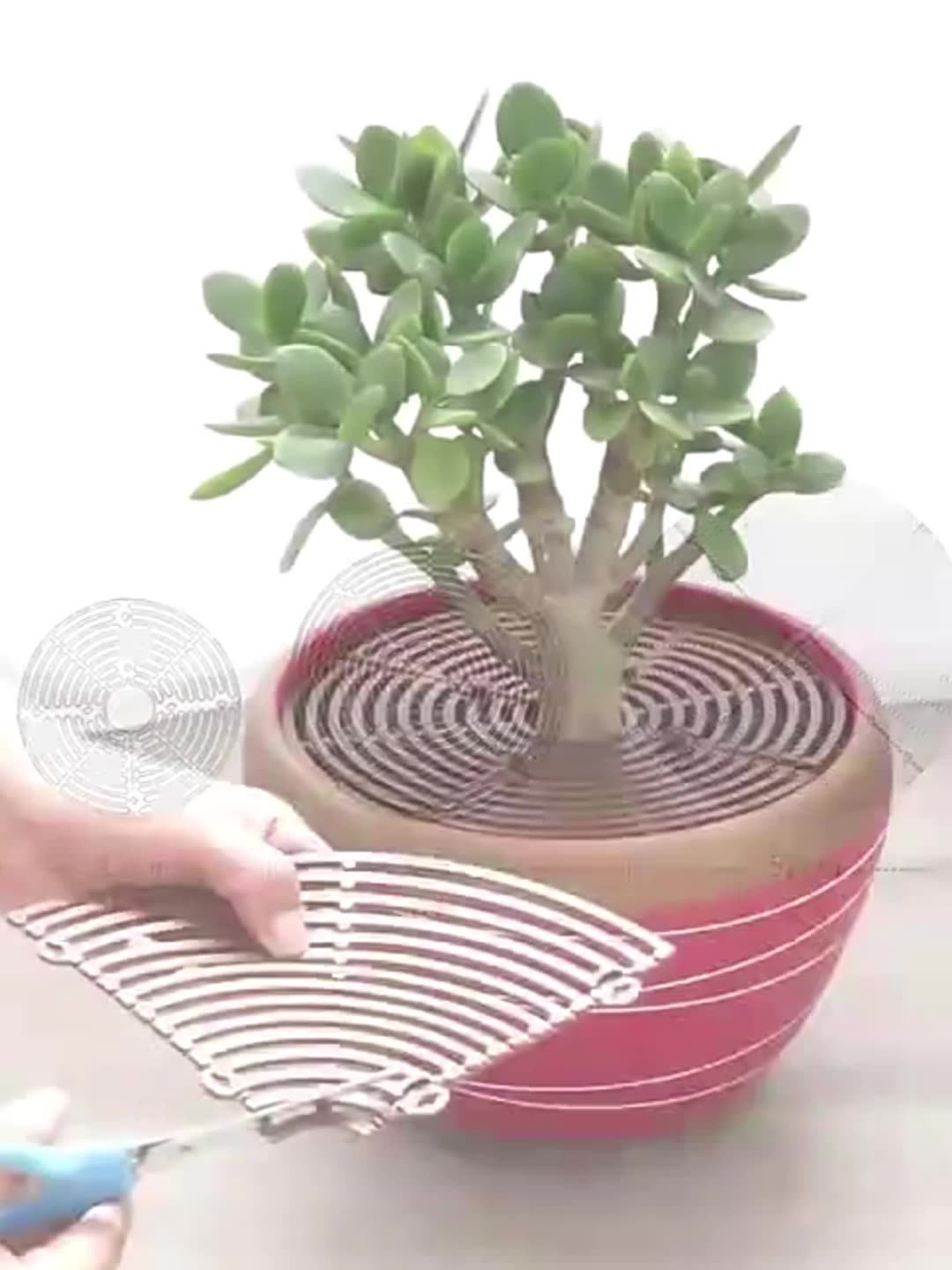 4pcs Flower Pot Grid Plant Protectors Flower Planter Soil Cover Anti