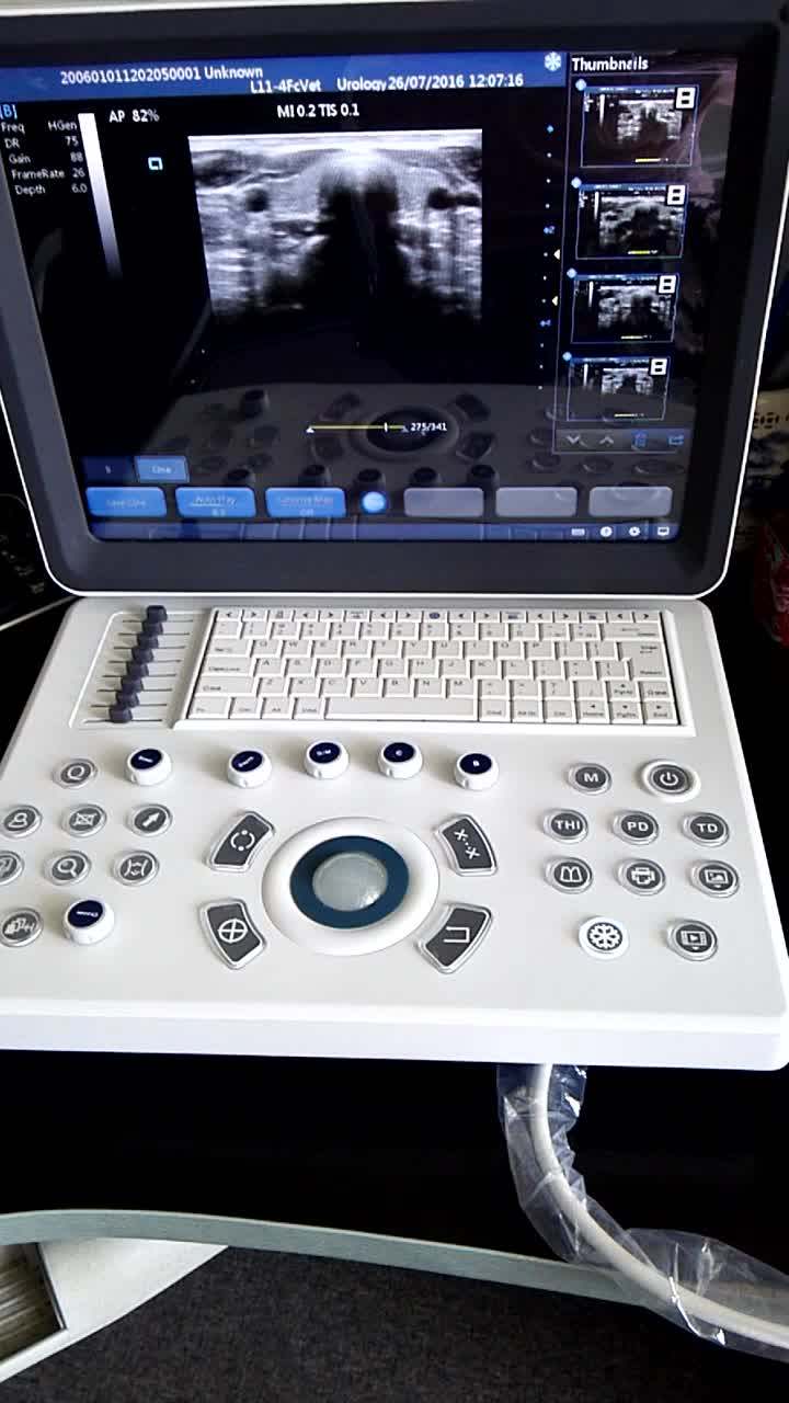 Promotion! Vet Equine Veterinary Ultrasound Equipment C6v Special Price