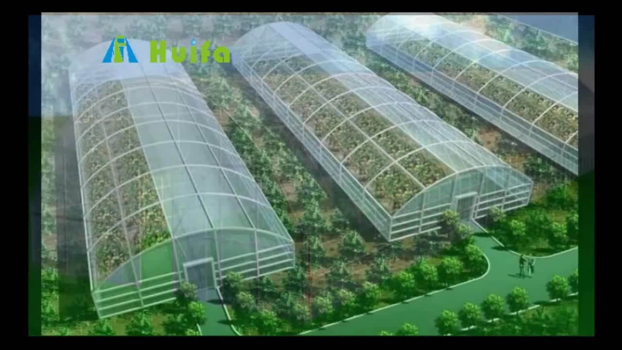 China Professional Plastic Vegetable Greenhouse Grow Tent Buy Plastic