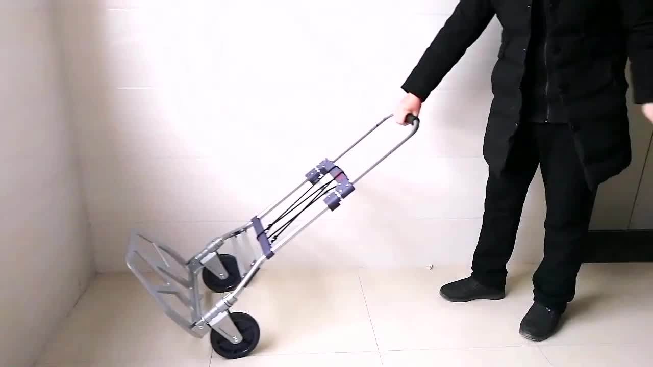 Twowheel 150 Kgs Lightweight Steel Foldable Hand Trolley For Sale