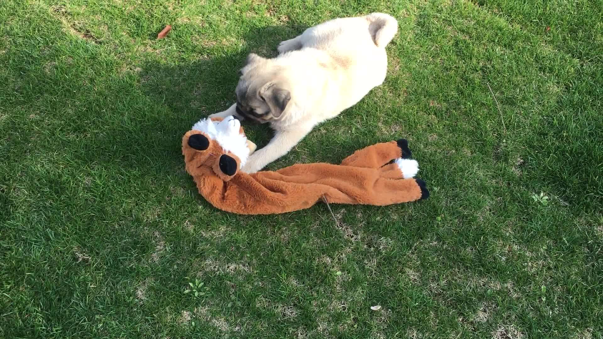 Plush No Stuffing Animal Toys For Dog - Buy No Stuffing Toy,Plush Toy