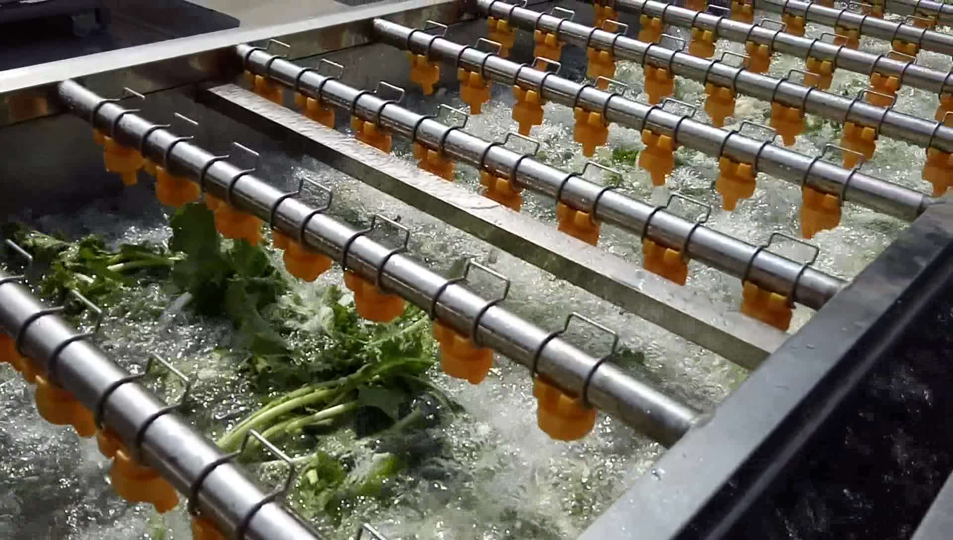 Conveyor Belt Washer Vegetable Washer Industrial Fruit Washer Buy