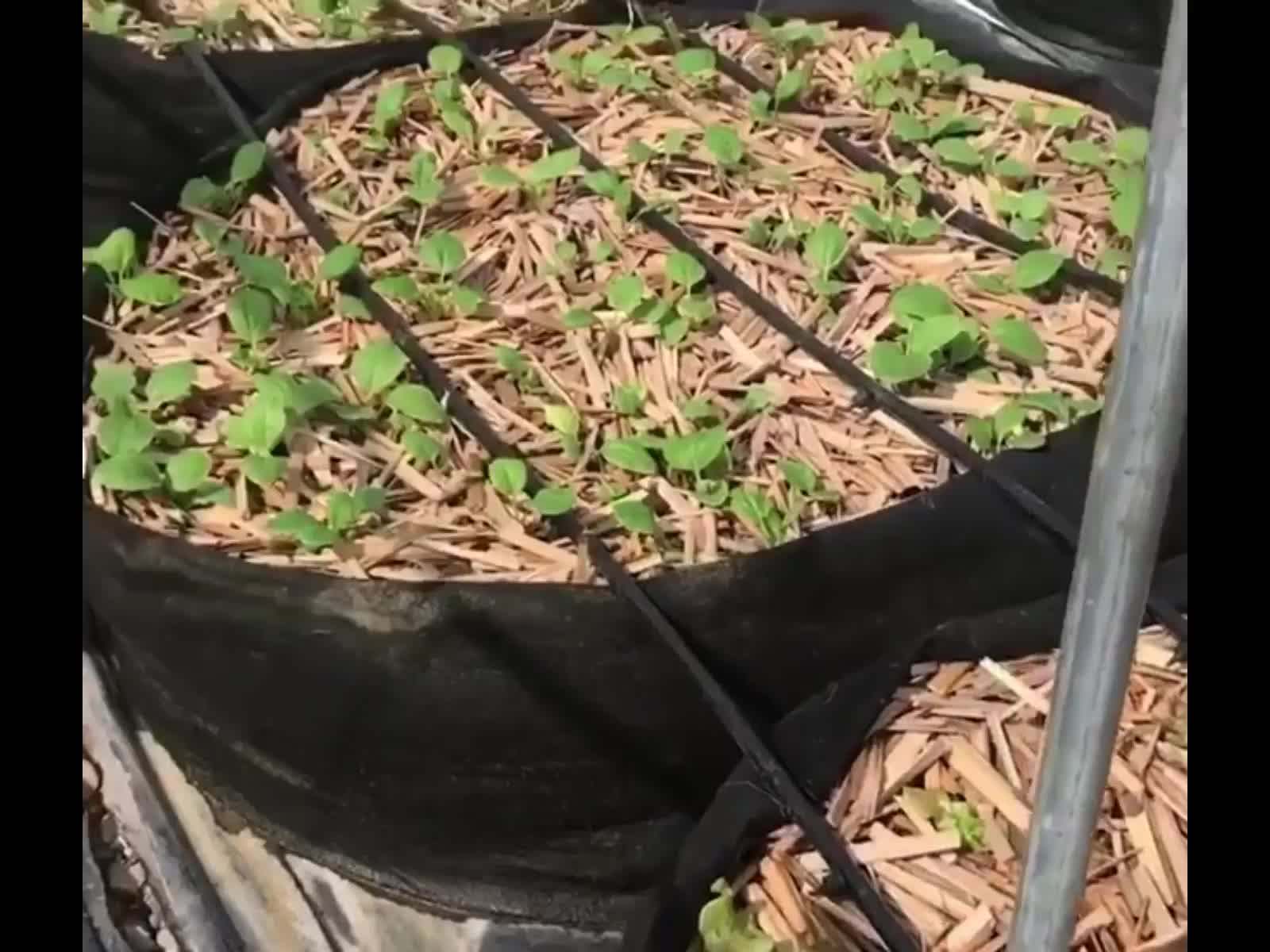 Factory 100 Gallon Black Polyester Felt Fabric Grow Bag For Tree