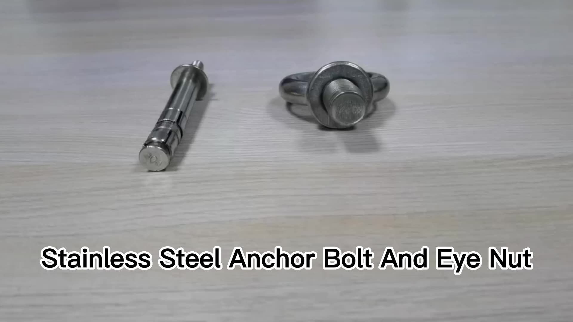 Factory Sale Stainless Steel Ss304 Din582 M6m36 Ring Nut Lifting Eye