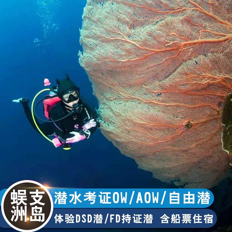 (Large Ex-gratia) Sanya Centipede Island Diving Examination OW AOW Free dive FD with proof of diving