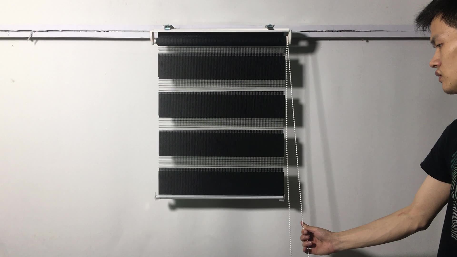 Germany Zebra Roller Blinds No Screws Hook Type Combi Blind Duo Rollo