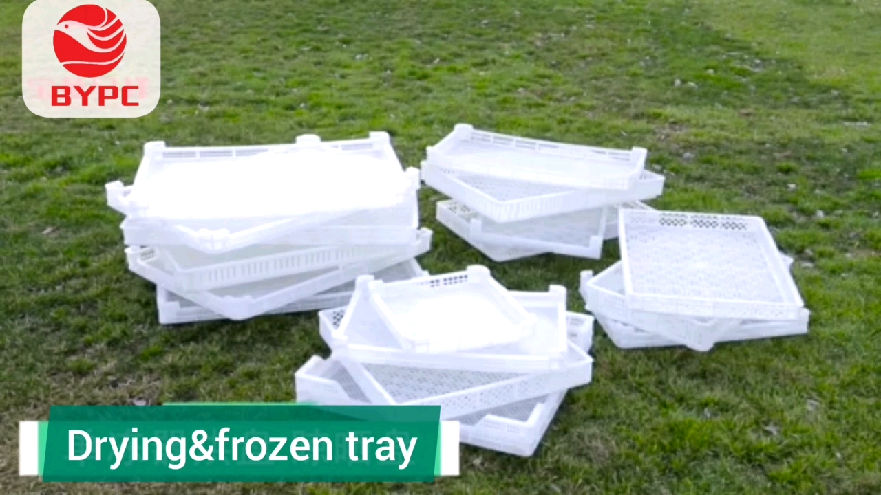 White Perforated Food Grade Stackable Plastic Drying Trays, View drying