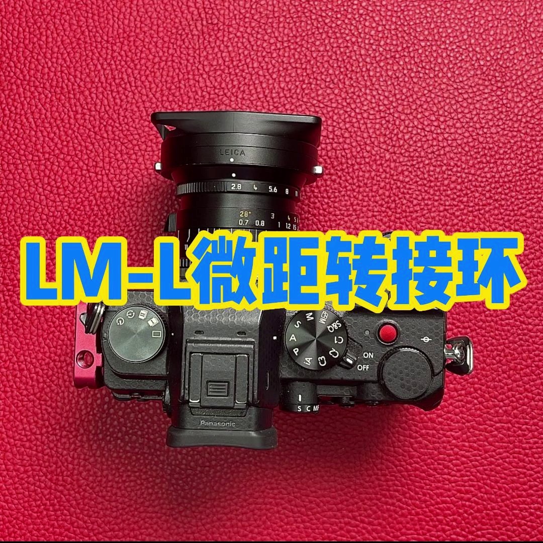 徕卡M镜头转SL/S1R还能够够微距。这个二代是懂进化的！
