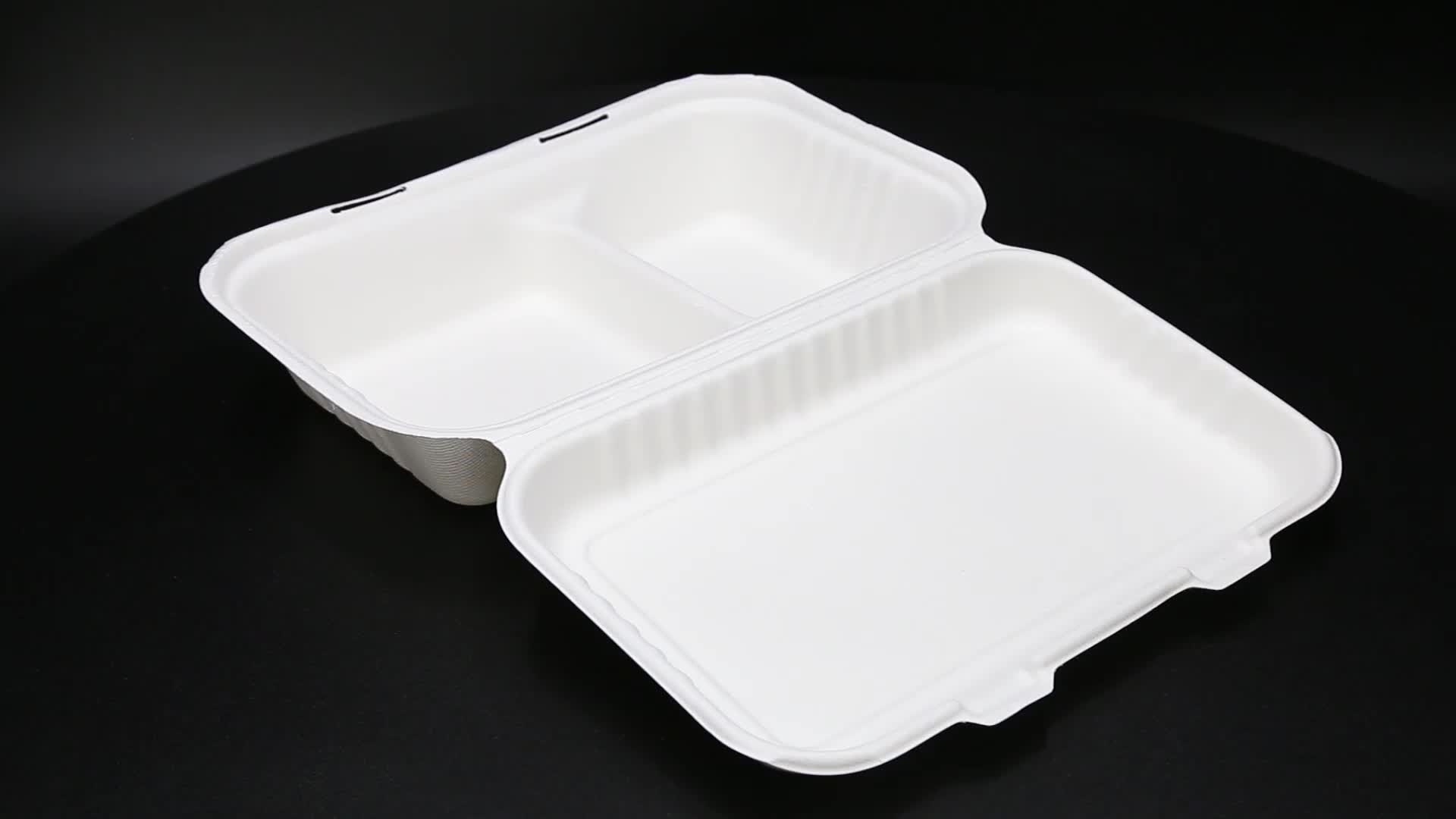 Disposable Compostable 2 Compartment Food Container 9x6 Inch Without