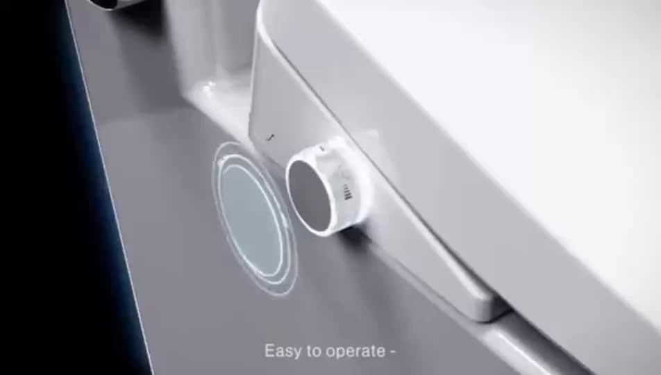 Japan Intelligent Toilet Smart Bidet Wc Toilet Cover Intelligent