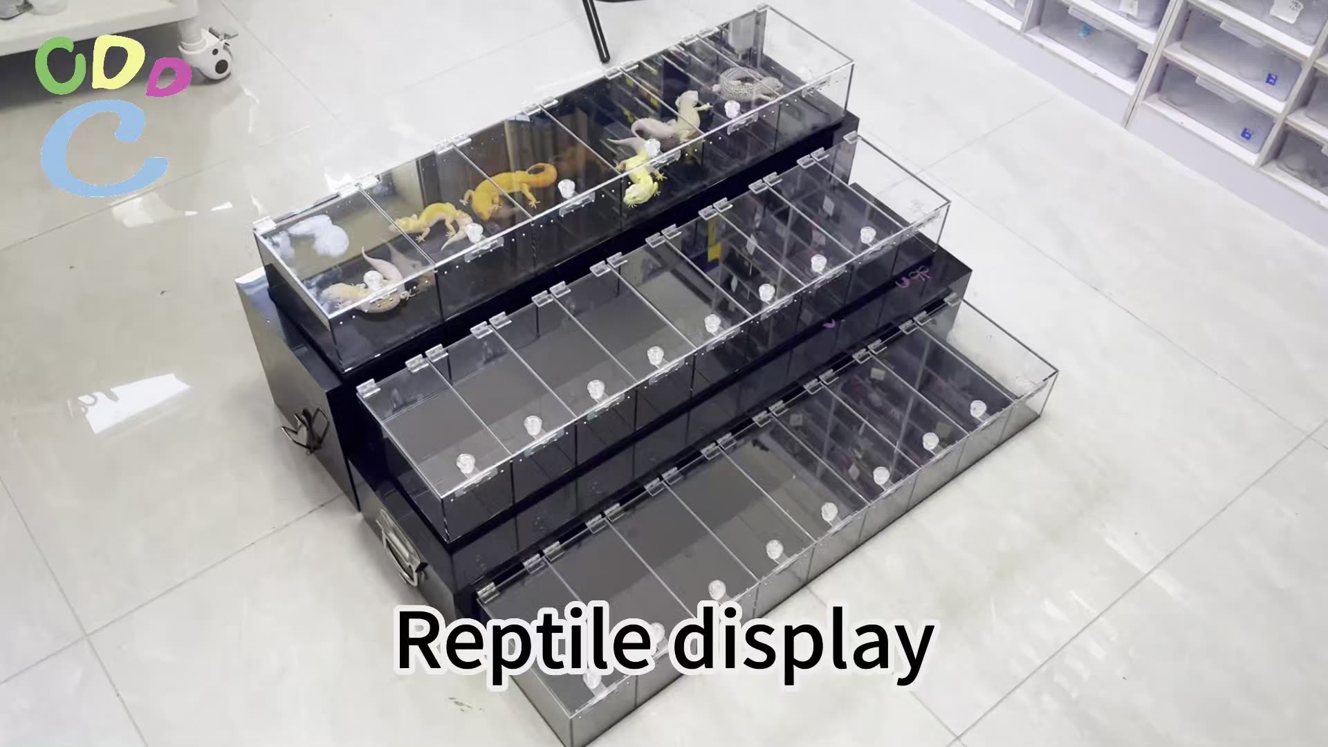 Custom 3 Shelves Table Top Acrylic Snake Gecko Reptile Display Cases
