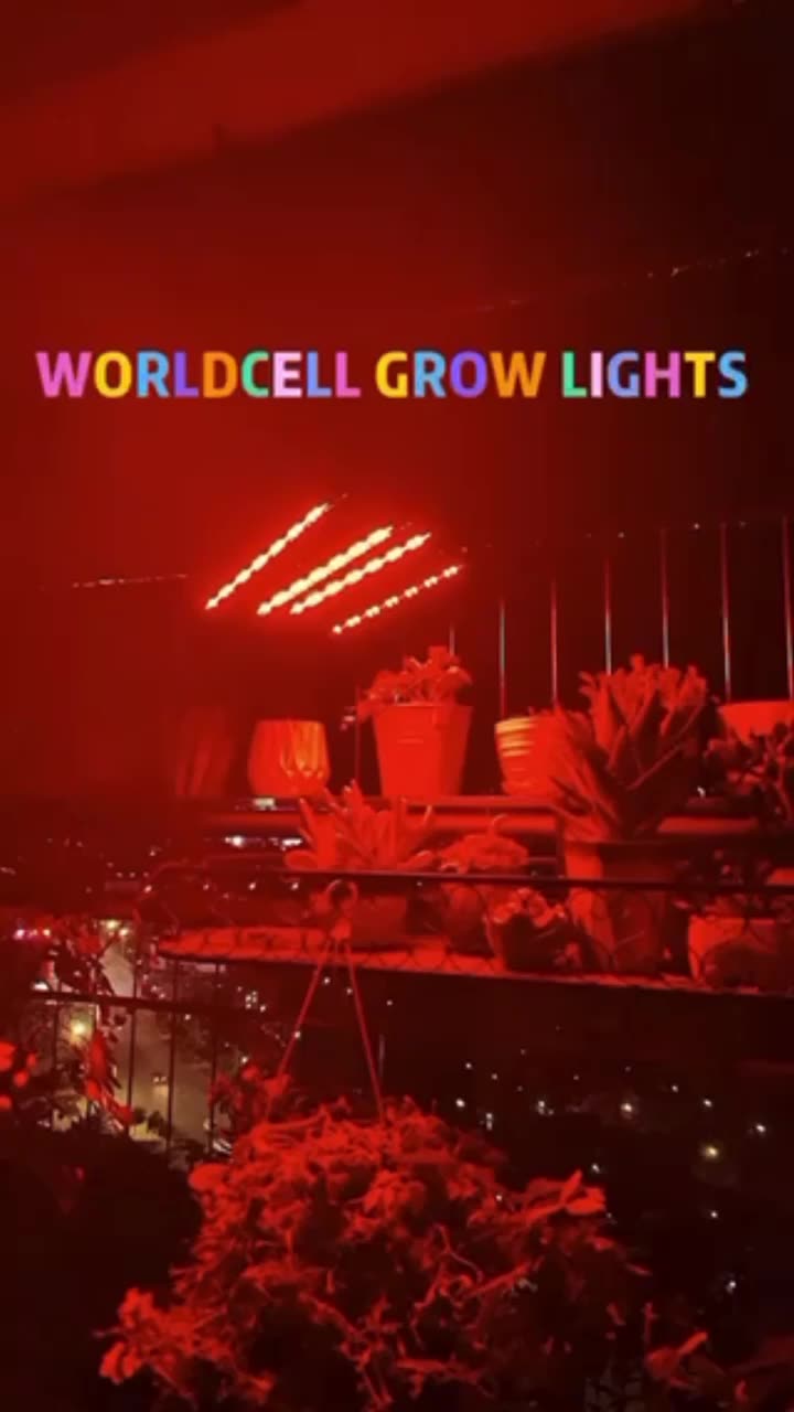 Amazon Grow Light 40w Tri Head Timing 80 Led 4 Arms Plant Grow Lights For Indoor Plants With Red Blue Spectrum - Buy Grow Light,Led Grow Light,Plant Grow Lights Product on Alibaba.com Amazon Grow Light 40w Tri Head Timing 80 Led 4 Arms Plant Grow Lights For Indoor Plants With Red Blue Spectrum - Buy Grow Light,Led Grow Light,Plant Grow Lights Product on Alibaba.com