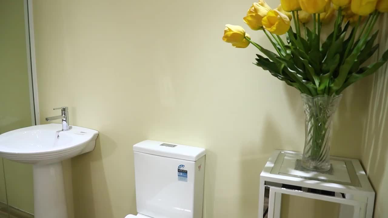 Rimless Flush Watermark Toilet With Uf Seat Cover And Flush Machine For