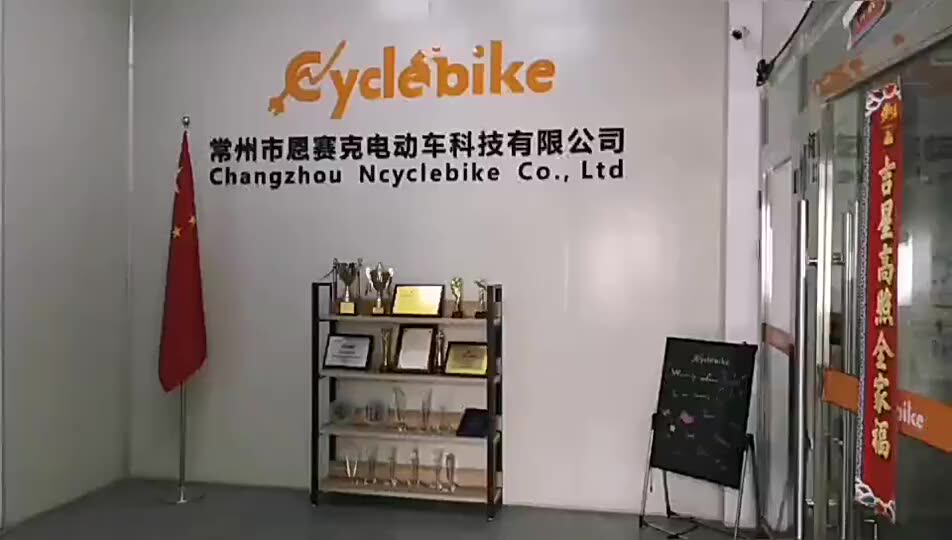 Newest 10'' 500w Electric Wheelbarrow Motor Kit With Tire And High