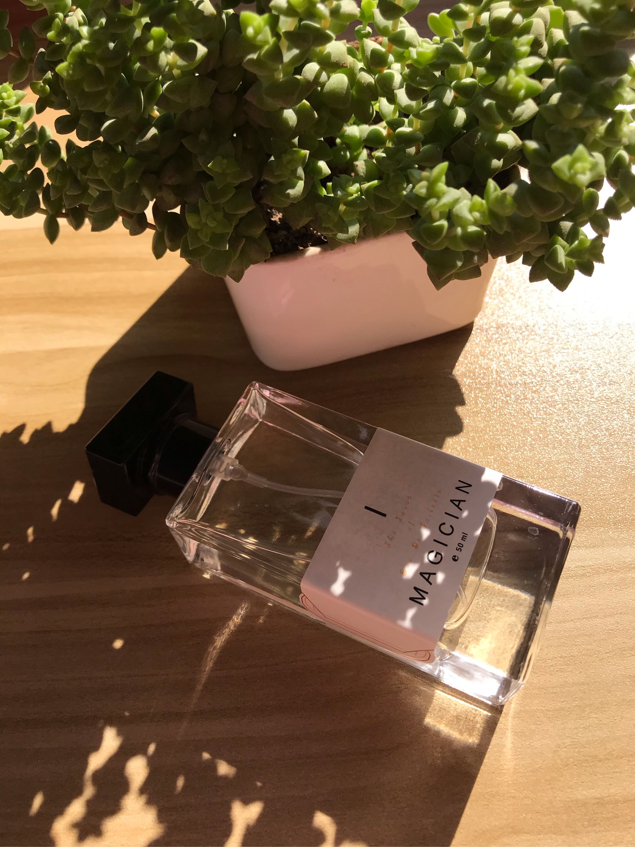 木子青调香室塔罗系列香氛怎么样？效果好吗？明星同款使用后评价,第6张