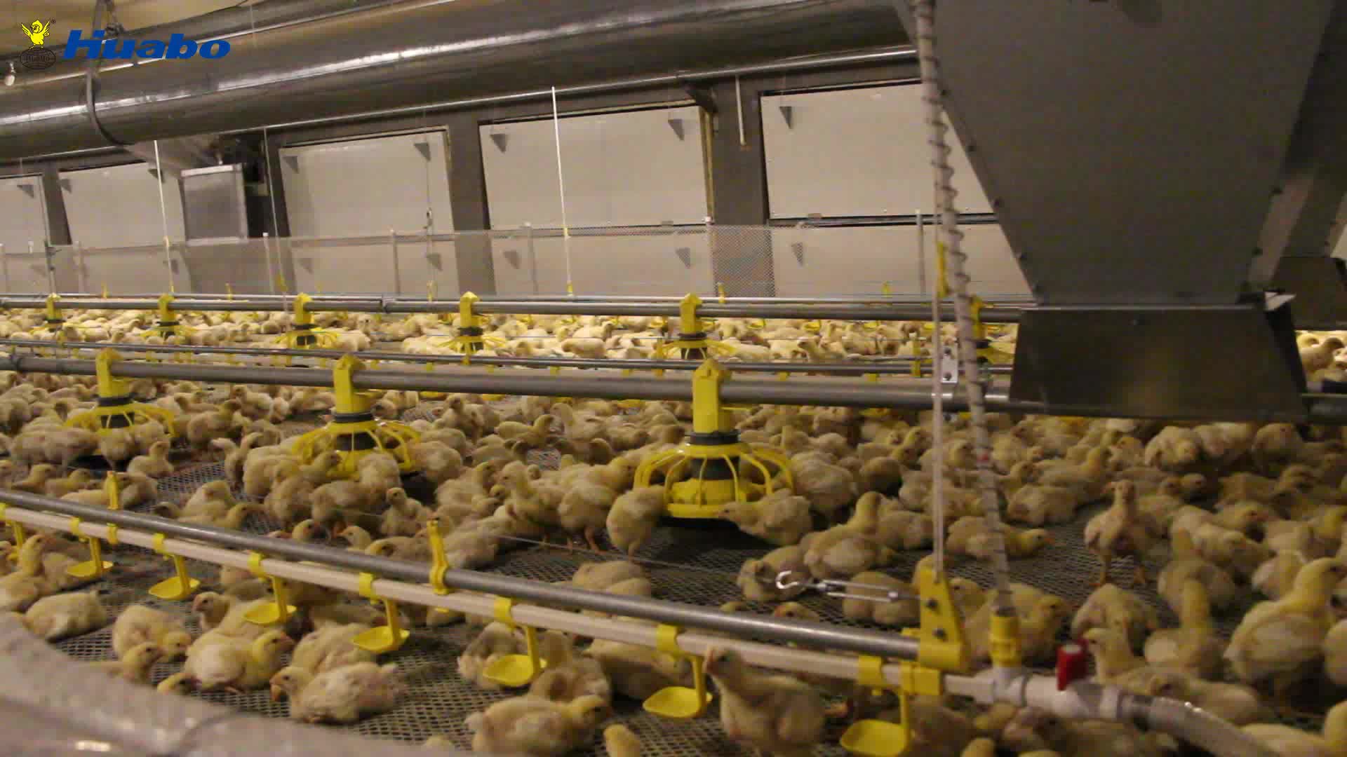 Poultry Equipment Automatic Broiler Feeding Pan Pan Feeding System poultry-equipment-automatic-broiler-feeding-pan-pan-feeding-system