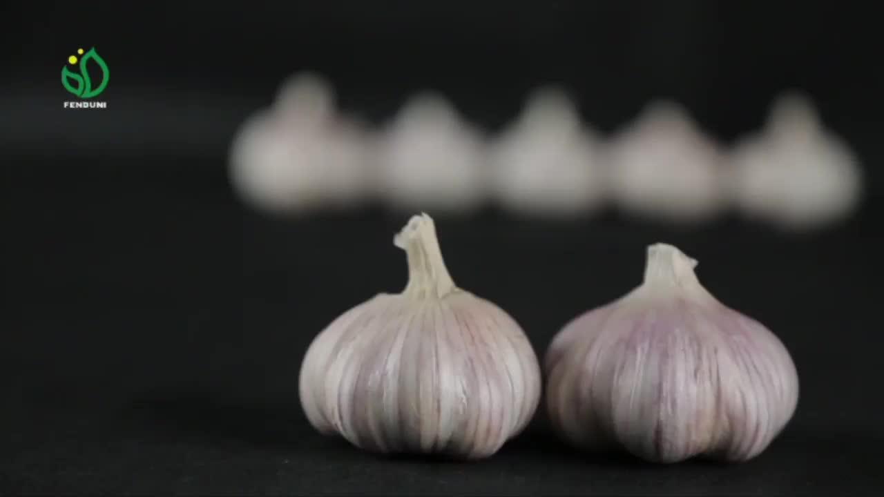 2022 Fresh Hybrid Garlic Price (red Garlic) Buy Fresh Hybrid Garlic