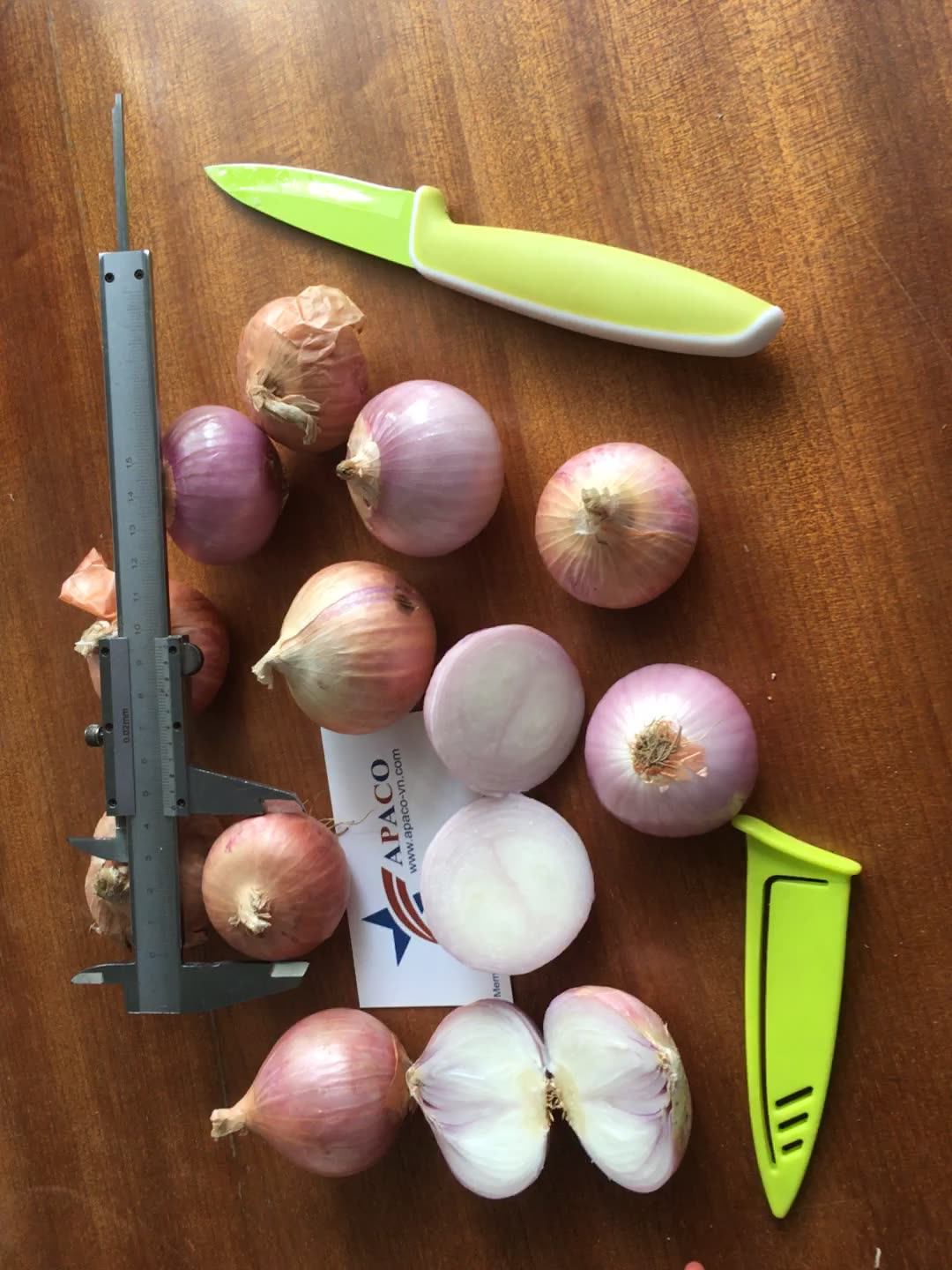 Fresh Peeled Onions For Asian,Middle East,Japan And Korea Markets Buy