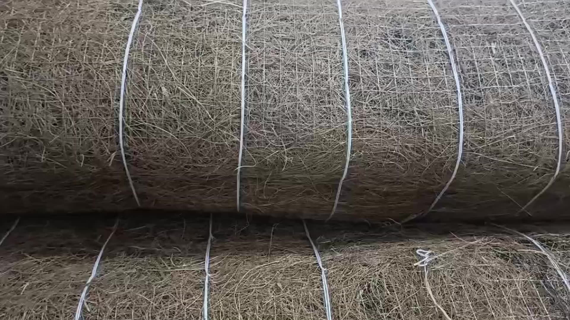 Coir Mesh Coir Matting Erosion Control Coconut Erosion Control Blanket