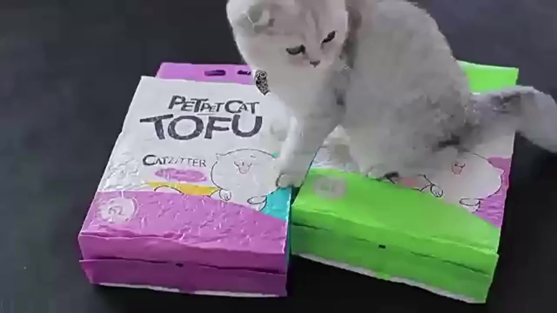 Wholesale Deodorant Bead Cats Litter Sand Powder Mixed Toilet For Cats