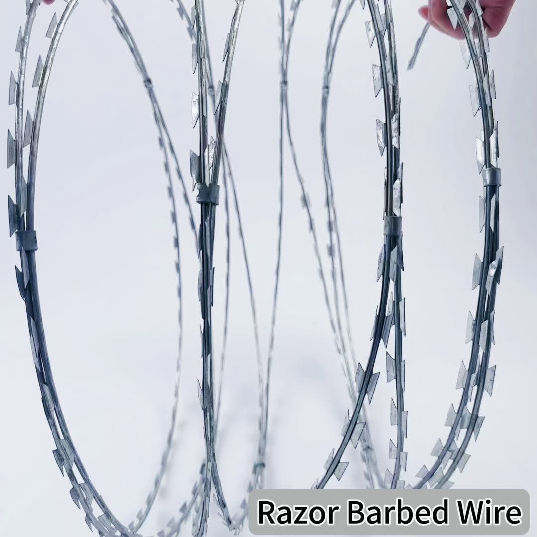 Stainless Steel Modern Security Fencing Philippines Razor Barbed Wire