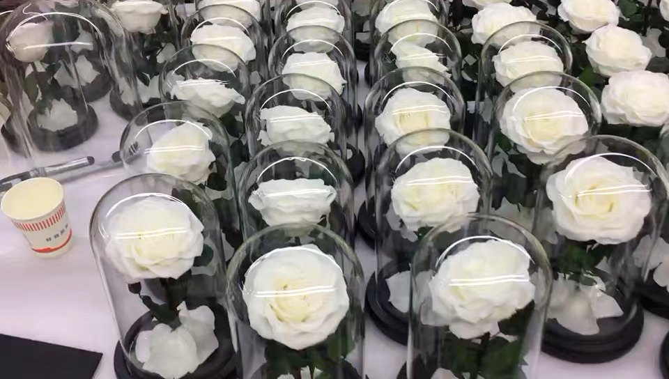 Luxury Glass Dome Natural Eternal Rose Preserved Flower Wholesale Forever Rose For Mothers Day