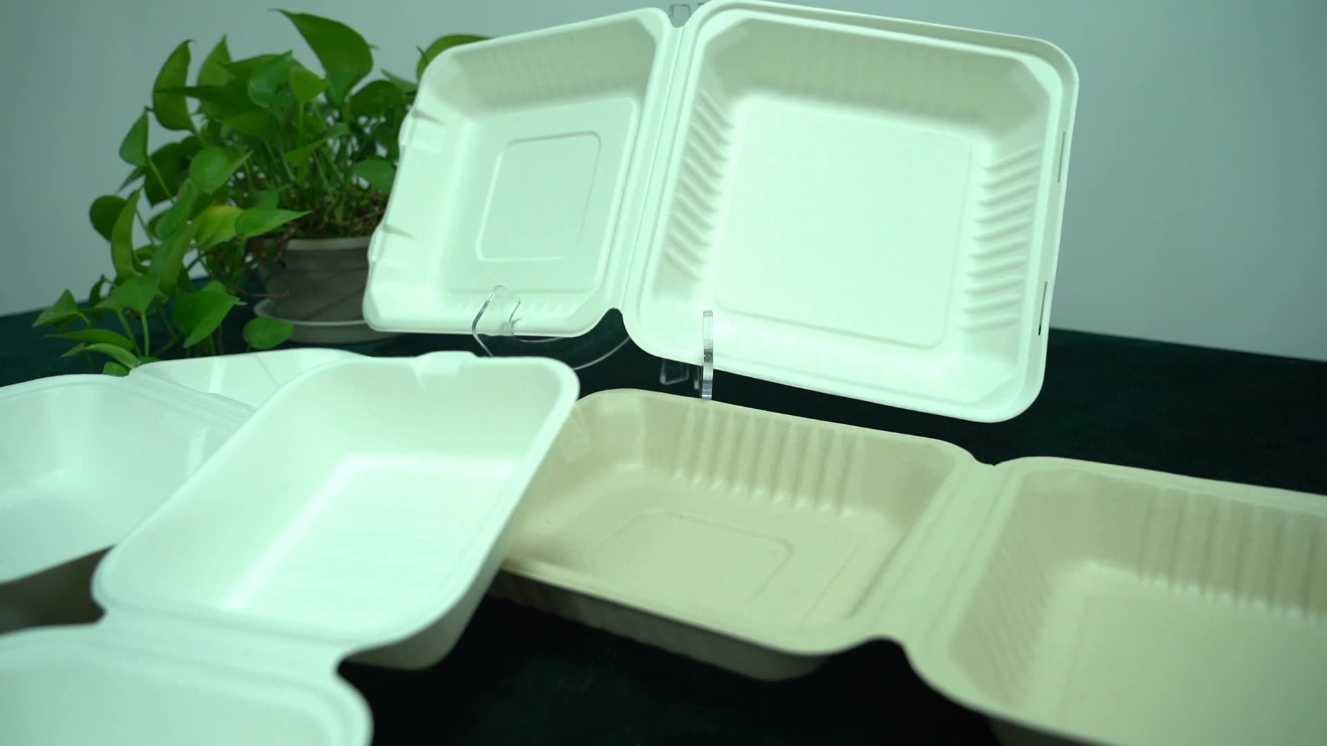 Takeaway Box Biodegradable Disposable Food Container 600ml Lunch Box