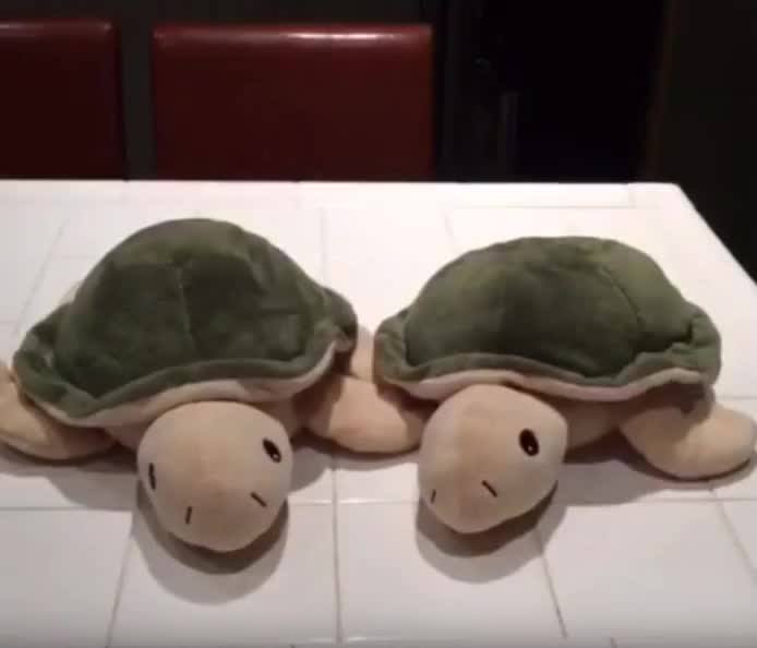 Plush Love Animal Stuffed Toys Factory Wholesale Soft Heated Stuffed