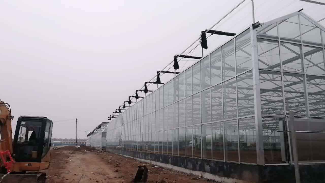 Flat Roof Fiberglass Greenhouse For Agriculture Buy Glass Greenhouse