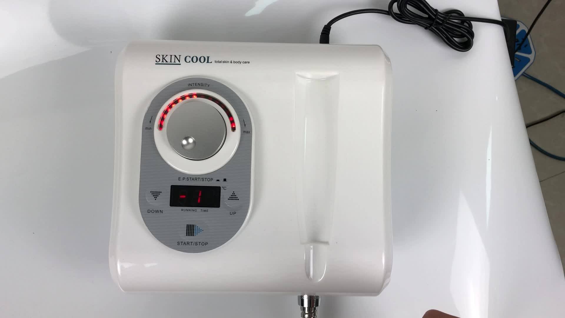 Professional 2 In 1 Electroporation Skin Cool Machine Anti Aging