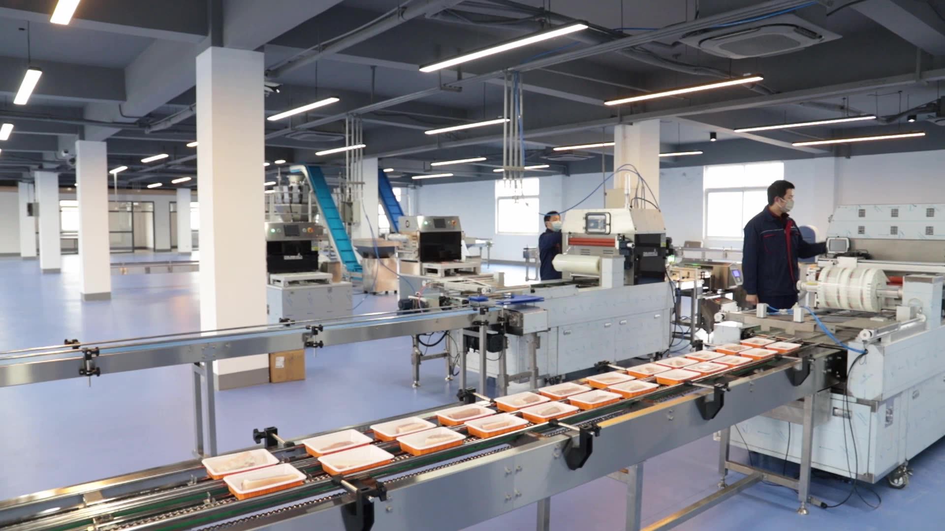 Dl410k Vegetable Fruit O2 Co2 Automatic Nitrogen Vacuum Packaging Food